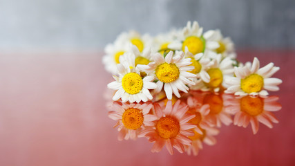 Obraz premium Bouquet of field chamomiles lies on a mirror surface