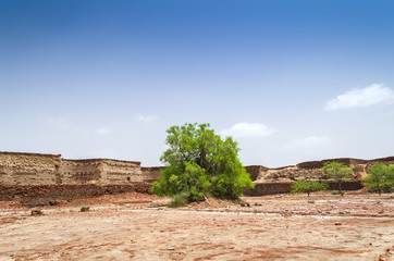 Inside view of Derawar Fort in Yazman Tehsil of Bahawalpur, Punjab, Pakistan