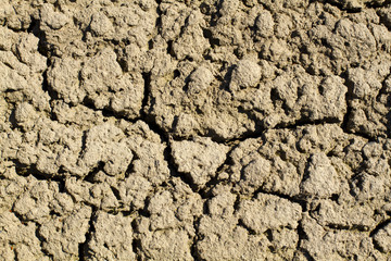 Dry land with cracks. Cracks in the ground close-up. Drought on the soil.