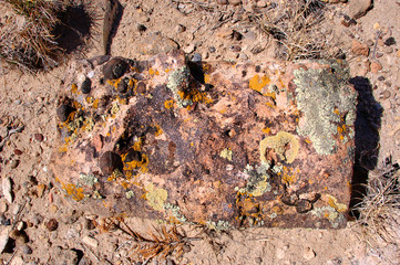 Lichen covered square rock in Bisti/De Na Zin wilderness badland in Northern NM.