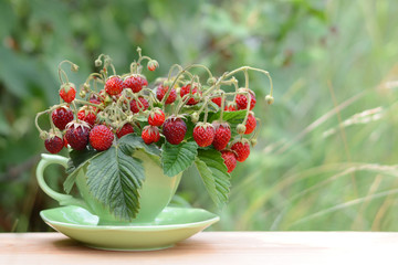 Strawberries in cup on green background. Summer natural background. Bunch of berries. Decorative composition, bouquet. Strawberry tea