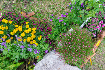 Flatlay beautiful cozy home flower garden on summer./ Flatlay white wood fence and flower decoration in cozy home garden on summer.

