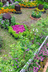 Flatlay beautiful cozy home flower garden on summer./ Flatlay white wood fence and flower decoration in cozy home garden on summer.
