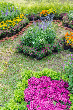 In cozy home garden on summer./ Vintage white bike planter and flower pot decoration in cozy home flower garden on summer.  
