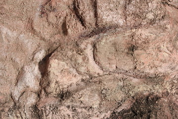 The texture of the masonry walls of light-colored stone