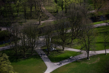 Winter scenery in a park