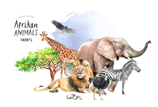 watercolor illustration of African animals: zebra, lion, ostrich, elephant, giraffe, eagle, southern savannah tree and stones, a set of drawings from the hands of animals in the zoo