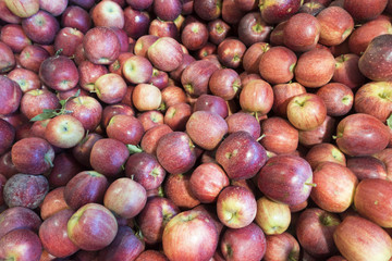 pile of apples
