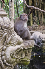 małpa siedząca na rzeźbionym posągu - obrazy, fototapety, plakaty