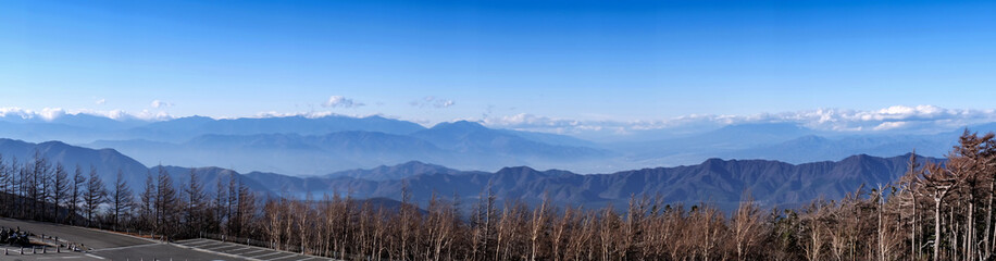 Fototapeta premium Pine and Sky During the trip to Mount Fuji.