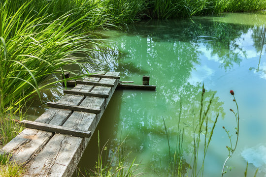 Charmanter Gartenteich. Kleiner nat&uuml;rlicher Gartensee mit Holzsteg.