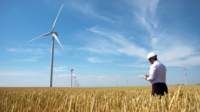 Worker of a wind power plant in a yellow wheat field