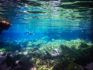 Fototapeta na wymiar Practicing diving and snorkeling, mysterious lagoon, beautiful lagoon of transparent turquoise blue water, located in the city of Bonito, Mato Grosso do Sul, Brazil