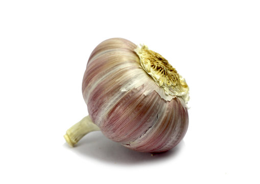 Einzelne Knoblauchknolle isoliert und Nahaufnahme Knoblauch-Knolle