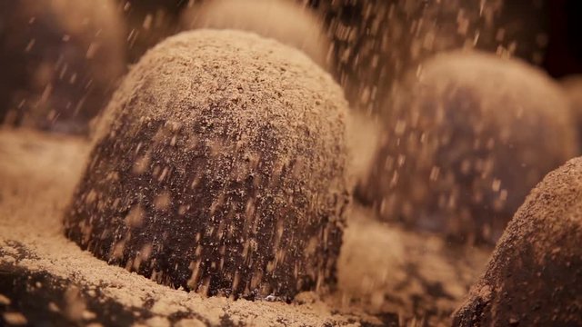 Chocolate sweets truffles sprinkled abundantly with cocoa powder close-up