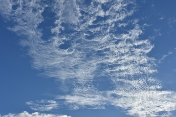 The evening sky
