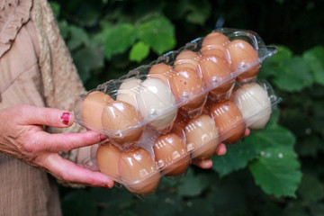 woman hands holding eggs in a plastic pack
