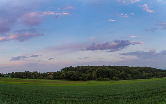 Dawning atmosphere over green fields and forest landscape