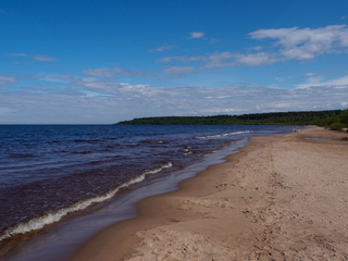 Beach, sky, forest