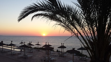 Sunrise under the palm trees.