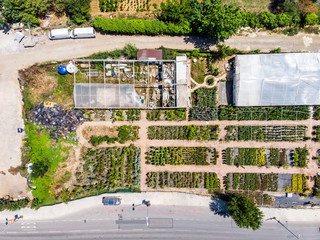 Aerial Drone View of Greenhouse or Hothouse near the Highway in the City. Birds Eye View.