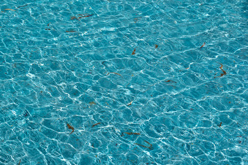 abstract sea blue water for background, nature background concept. soft focus.