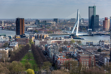 Naklejka premium Cityscape of downtown Rotterdam