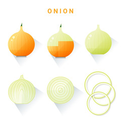 Set of fresh onions isolated on white background , vector , illustration