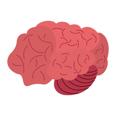 Human brain cartoon vector illustration graphic design