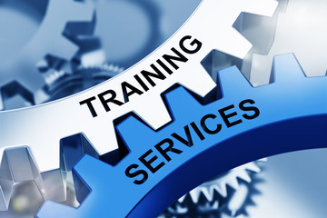 TRAINING SERVICES on Metal Cog Gears.