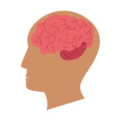 Human brain on head silhouette vector illustration graphic design