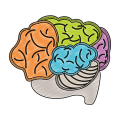 Brain hemispheres cartoon vector illustration graphic design