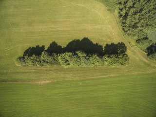 Baumreihe auf einer Wiese von oben