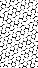 Black honeycomb on a white background. Isometric geometry. Vertical image orientation. 3D illustration