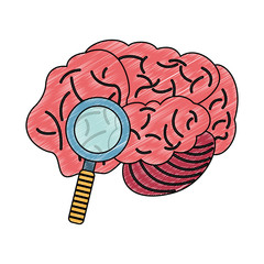 Brain and magnifying glass vector illustration graphic design