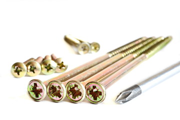 Set of four long, medium and short yellow tapping screws with heads forward and tip of the Phillips screwdriver on a white background. Isolated