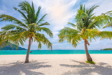 Obraz na płótnie Canvas Shining sun and blue sky on nice beach with palm trees.