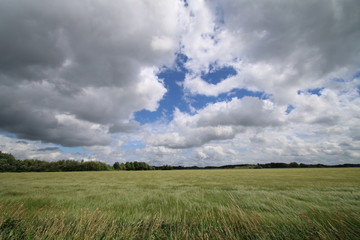 Traumhafte Wolken über dem Weizenfeld