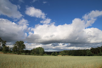 Traumhafte Wolken über dem Weizenfeld