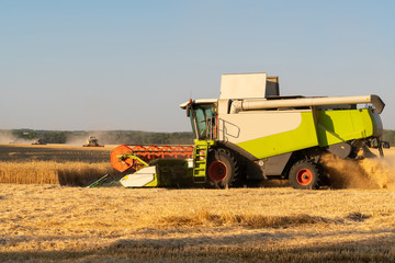 Fototapeta premium Harvesting of wheat. Combine harvesters at work