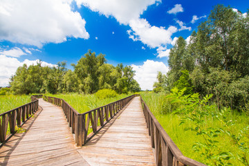 Fototapeta na wymiar Wooden path in nature park Kopacki rit in Slavonia, Croatia, popular tourist destination and birds reservation 
