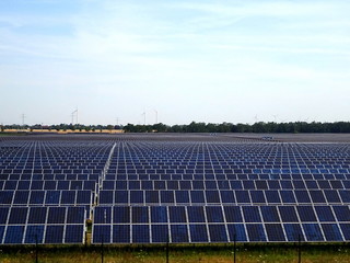 Farm solar panels