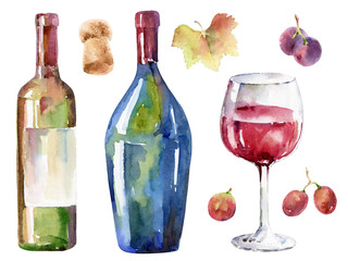 Hand-drawn wine set. Watercolor illustration