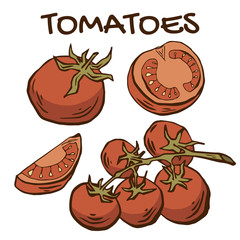 Set of tomatoes, comic style. Vector EPS8