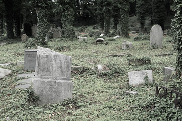 desaturated melancholic photo of some headstones on the old jewish cemetery in Cieszyn, Poland