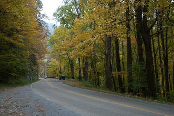 Obraz premium Smoky Mountain Road