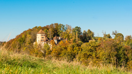 Fototapeta na wymiar Schloss Wildenstein im Herbst