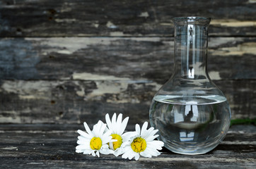 Chamomile flower essential oil. Naturopathy. Herbal medicine.