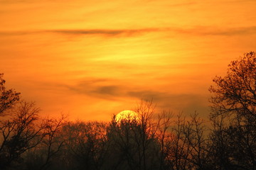 Fototapeta premium A flaming winter sunrise fills the sky with color. A light covering of clouds allows the entire disc of the sun to be visible to the naked eye creating an inspiring spectacle.