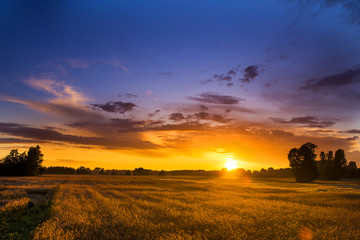 Fototapeta premium Beautiful summer sunset over fields